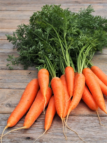 Pourquoi dit-on « les carottes sont cuites » - Expression française