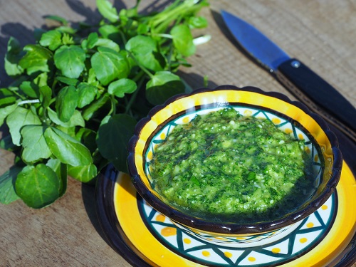 Homemade fresh and peppery watercress pesto sauce
