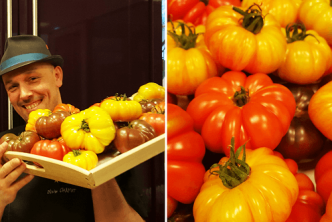 Atelier autour des tomates avec Interfel et Olivier Chaput