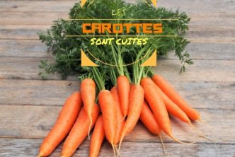 expression française liée à la cuisine : Pourquoi dit-on les carottes sont cuites