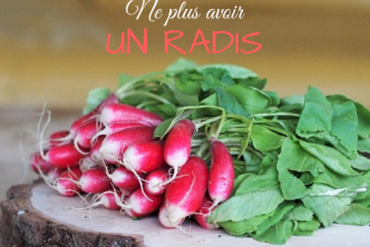 expression française liée à la cuisine : Pourquoi dit-on ne plus avoir un radis