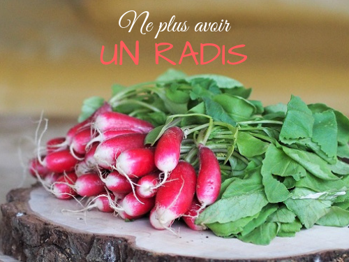 expression française liée à la cuisine : Pourquoi dit-on ne plus avoir un radis