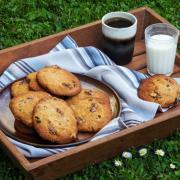 Goûter dans l'herbe avec des cookies flocons d'avoine, raisins secs et noix