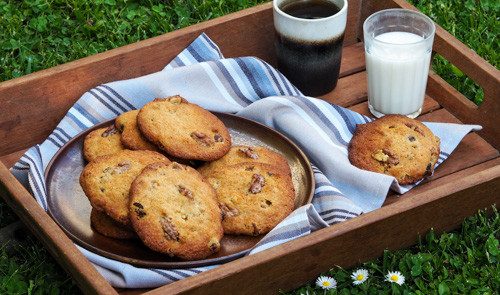 Goûter dans l'herbe avec des cookies flocons d'avoine, raisins secs et noix